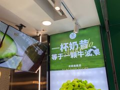 -茉酸奶(春熙路店)