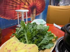 -菌之家·专业纯野生菌火锅·特色炒菌
