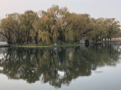 -百脉泉景区