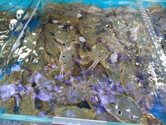 -清水湾3号(东方小周海鲜店)