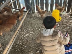 -乌村