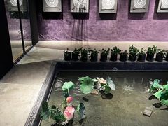 -轻武堂传统射箭·功夫茶·射击体验馆(仁和新城店)