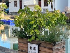 -东梓关景区村庄