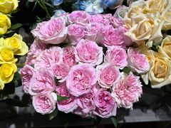 -循礼门鲜花花市(武汉循礼门店)