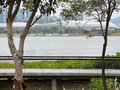 -深圳人才公园