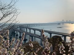 -星海湾跨海大桥