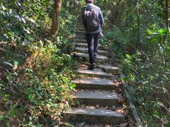 景点-火炉山森林公园