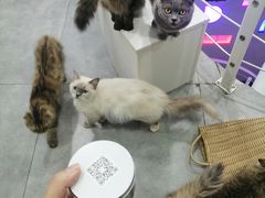-极木²邸 人与宠物·互动社区