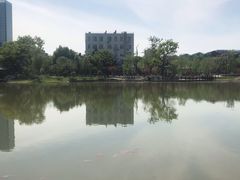 -西海子公园