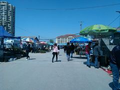 android_upload_pic-长宁东道花卉宠物市场