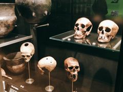 -丹麦国家博物馆