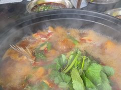 -老杨砂锅鱼庄