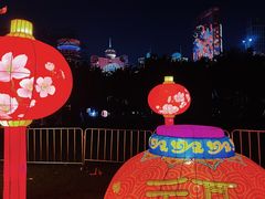 -万绿园