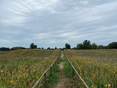 -汉长安城未央宫国家考古遗址公园