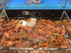 -苏格里岛自助烤肉海鲜火锅(成都金牛万达店)