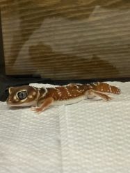 -Zoolung Zoolung动物主题公园(海信广场店)