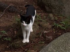 -崂山巨峰游览区