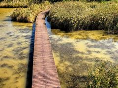 -盐城丹顶鹤湿地生态旅游区
