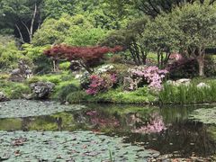 -杭州植物园