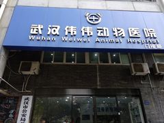 -伟伟宠物医院·CT影像中心·瑞派犬猫综合性门诊(汉口总院)