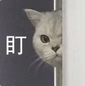 -茶与花间(太平洋森活天地店)