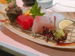 -南紀白浜 浜千鳥の湯 海舟