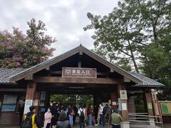 -大湾区中央湿地公园