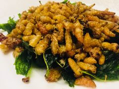 -云腾食府·云南菜