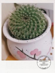 -白领安琪儿妇产医院•早孕•产检•月子中心