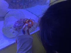 -北戴河圣蓝海洋公园