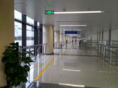 -首都医科大学附属北京天坛医院