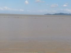 -崖口红树林海鲜餐厅