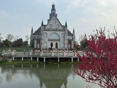 -荷兰花海