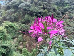 -古龙峡云天玻霸