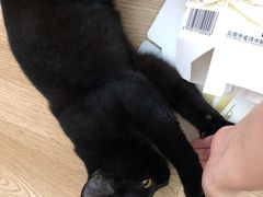 -海底捞火锅(海悦天地店)