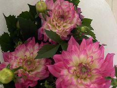 -三旗百汇商品城