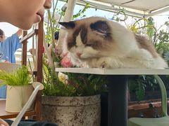 -小时光咖啡馆(北锣鼓巷店)