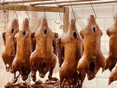 -春梅里卤鹅馆·47年老字号(中山路店)