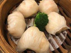 -澳门西南饭店·粤菜·茶市·手工点心(华海路店)