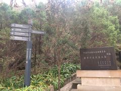 -延安杨家岭革命旧址