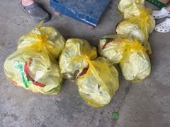 -马陆小张葡萄园农家乐