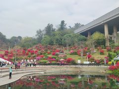 -点都德(广州白云山景区南门店)