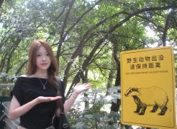 -镁连社·美联社