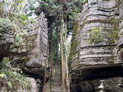 -梭布垭石林景区