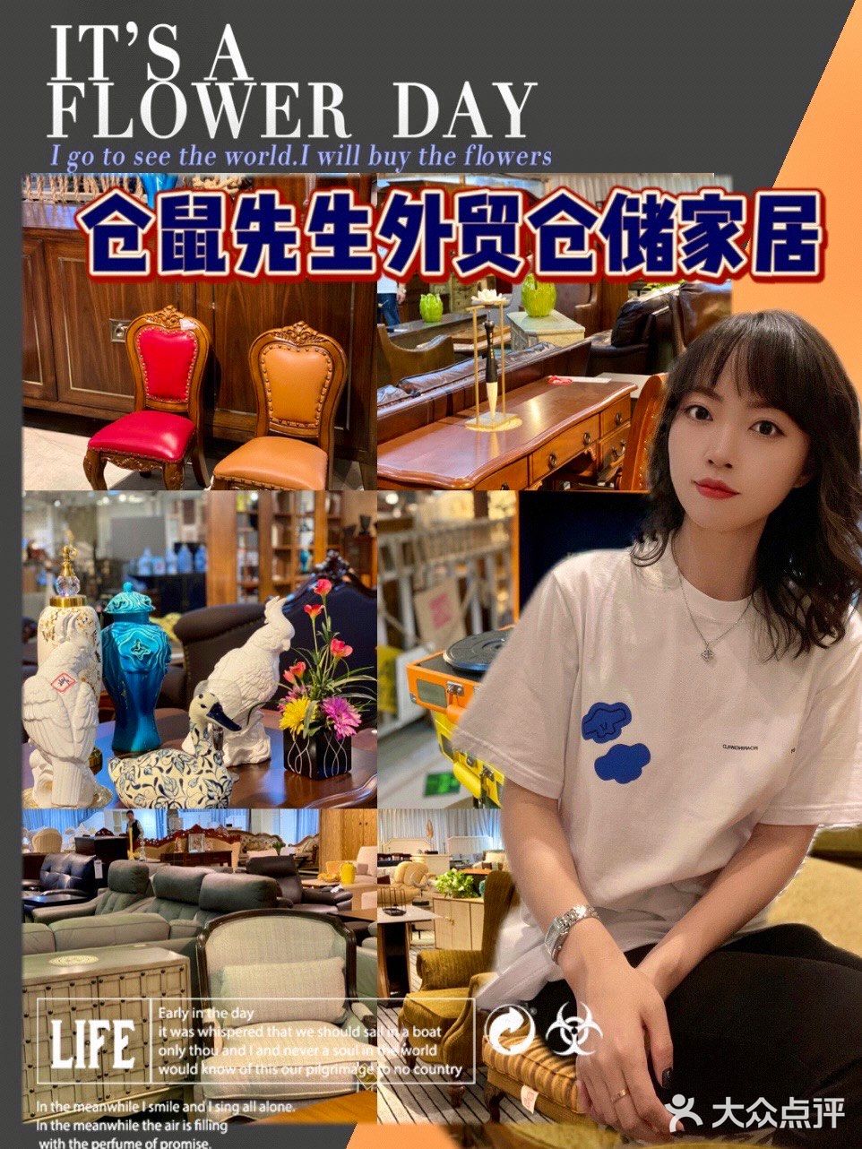 仓鼠先生｜新家布置，来这家就够了❗️