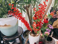 -花落谁家(景瑞曦城店)