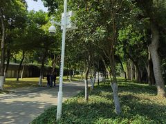 -深圳湾公园(南山区)