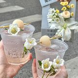 在南京的夏天总要喝一杯“人间小荔子”🍃