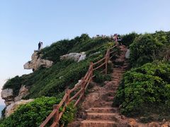 -杨梅坑
