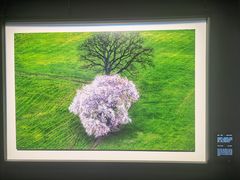 -罗红摄影艺术馆